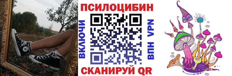купить закладку  Коркино  Псилоцибиновые грибы Psilocybe 