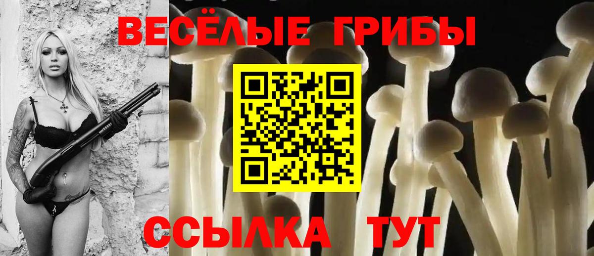 Галлюциногенные грибы прущие грибы Коркино